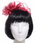 Mobile Preview: Seeberger Fascinator mit Rosen ruby red