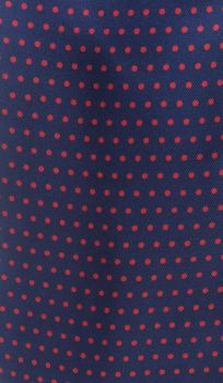 Hemley Krawattenschal gepunktet blau/rot